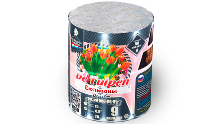 Tulpen - VH080-09-01